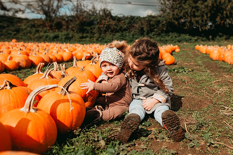 my son and daughter picking pumpkins