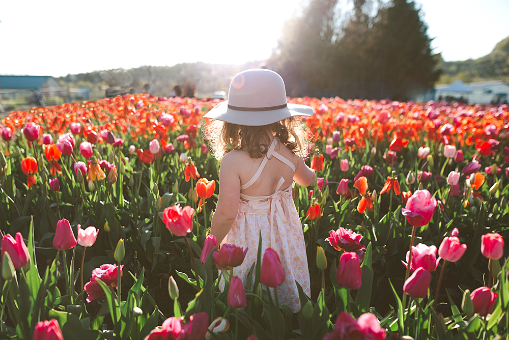 Little girl running through tulips. One of the 5 best spring photo locations in Vancovuer