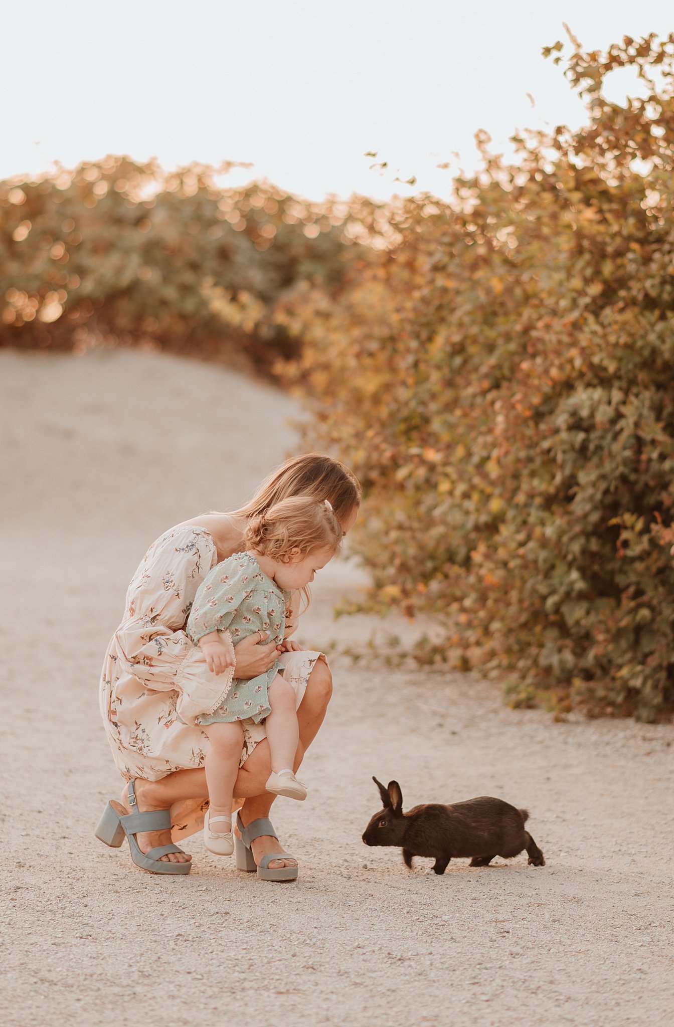 A mother shows her toddler daughter a black bunny in a park trail at sunset during baby activities vancouver