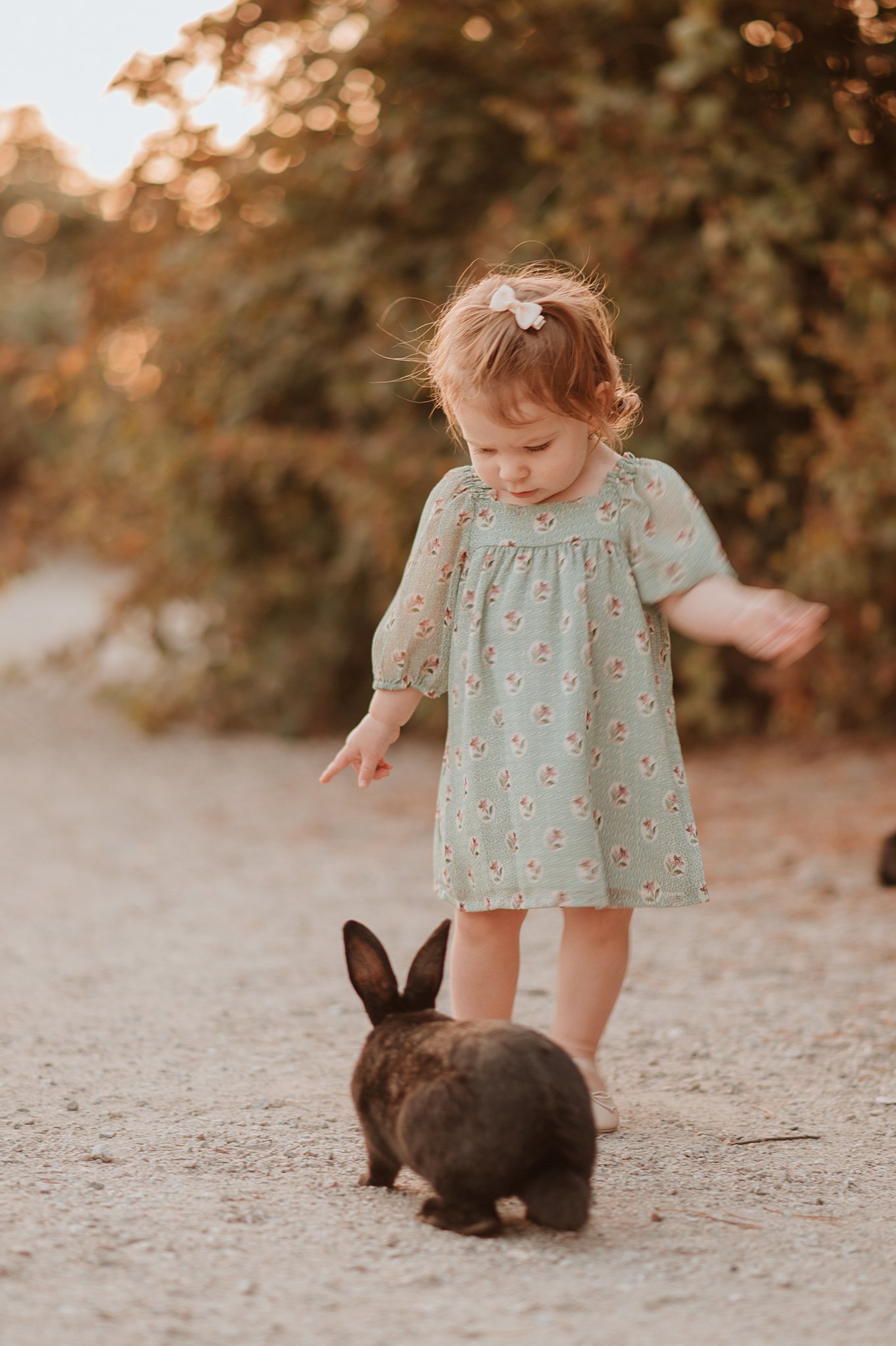 A young toddler girl plays with a bunny in a green dress in a park at sunset during baby activities vancouver