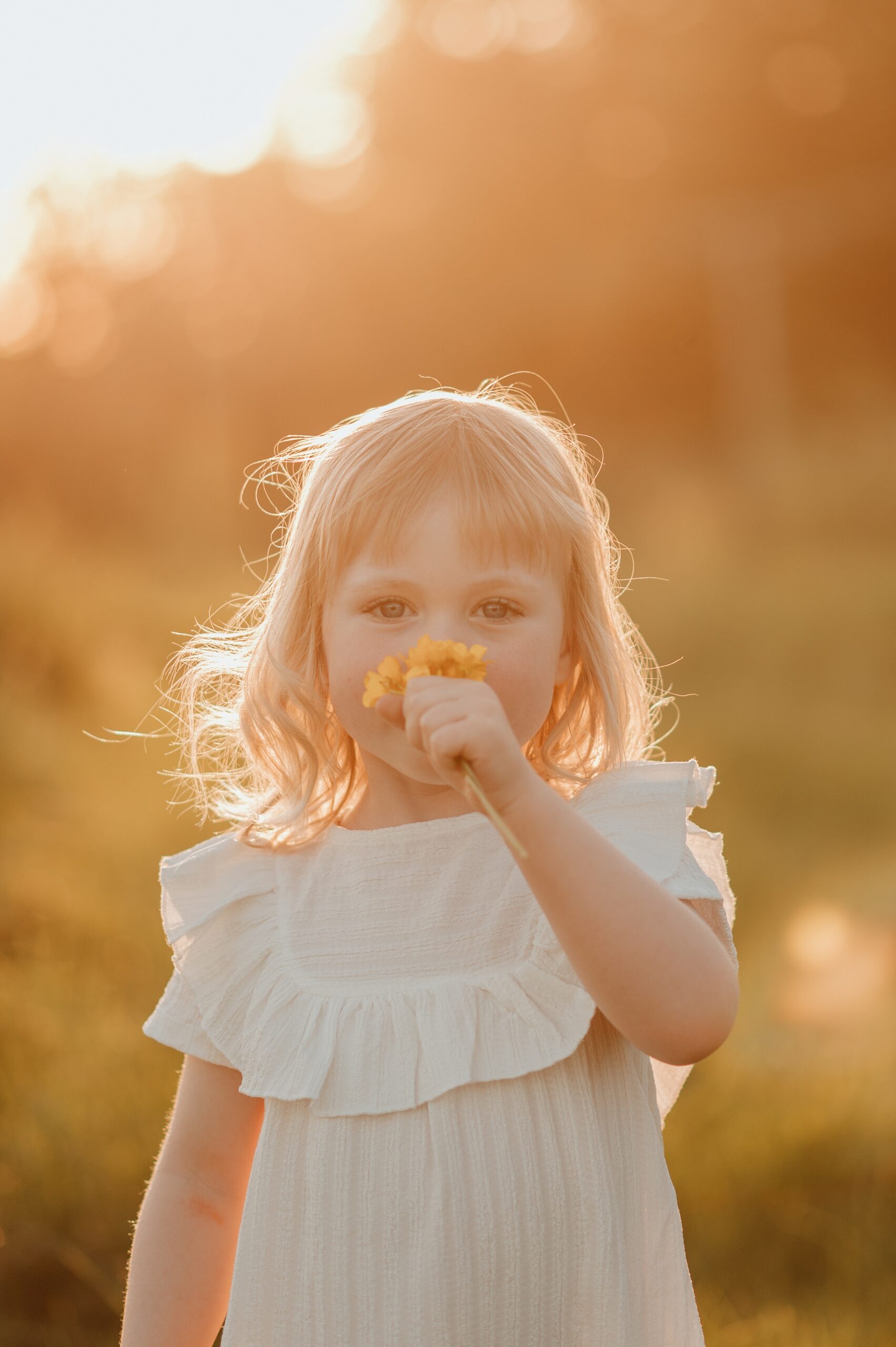 A toddler girl in a white dress smells some picked flowers in a field at sunset