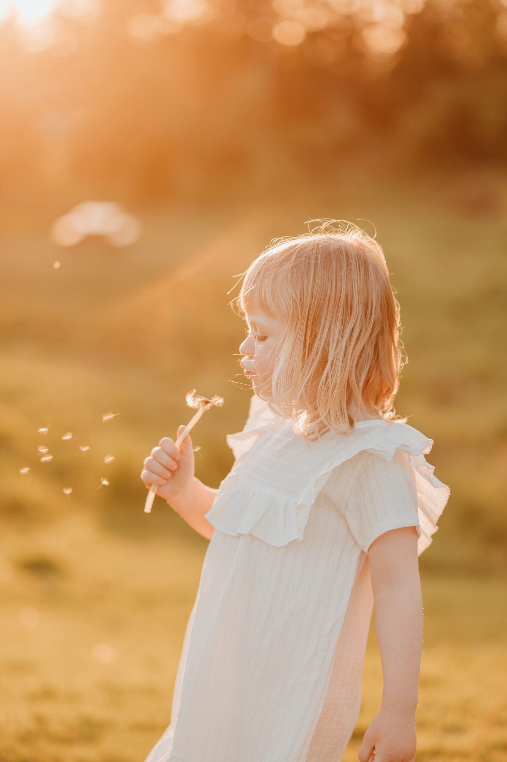 A toddler girl in a white dress blows a dandelion in a field at sunset