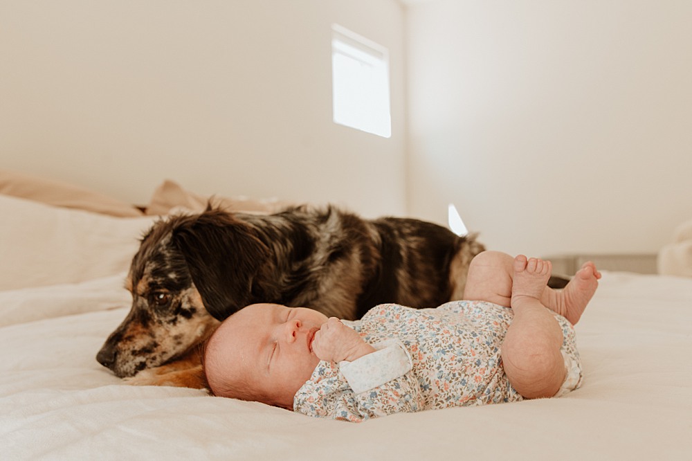 A puppy lays on a bed behind a newborn baby sleeping in a floral print onesie